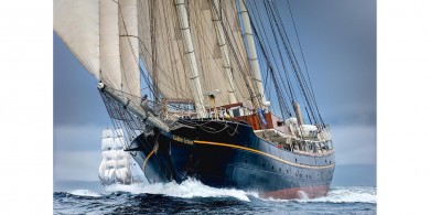 5 Sterne am 04.09.2023 von P & T Charters, Gulden Leeuw Unternehmenslogo