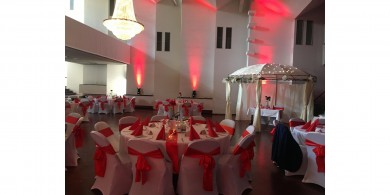 5 Sterne am 24.08.2018 von Wolf Unternehmenslogo