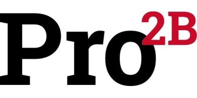 Logo der Messe Professional2B Hamburg 2026