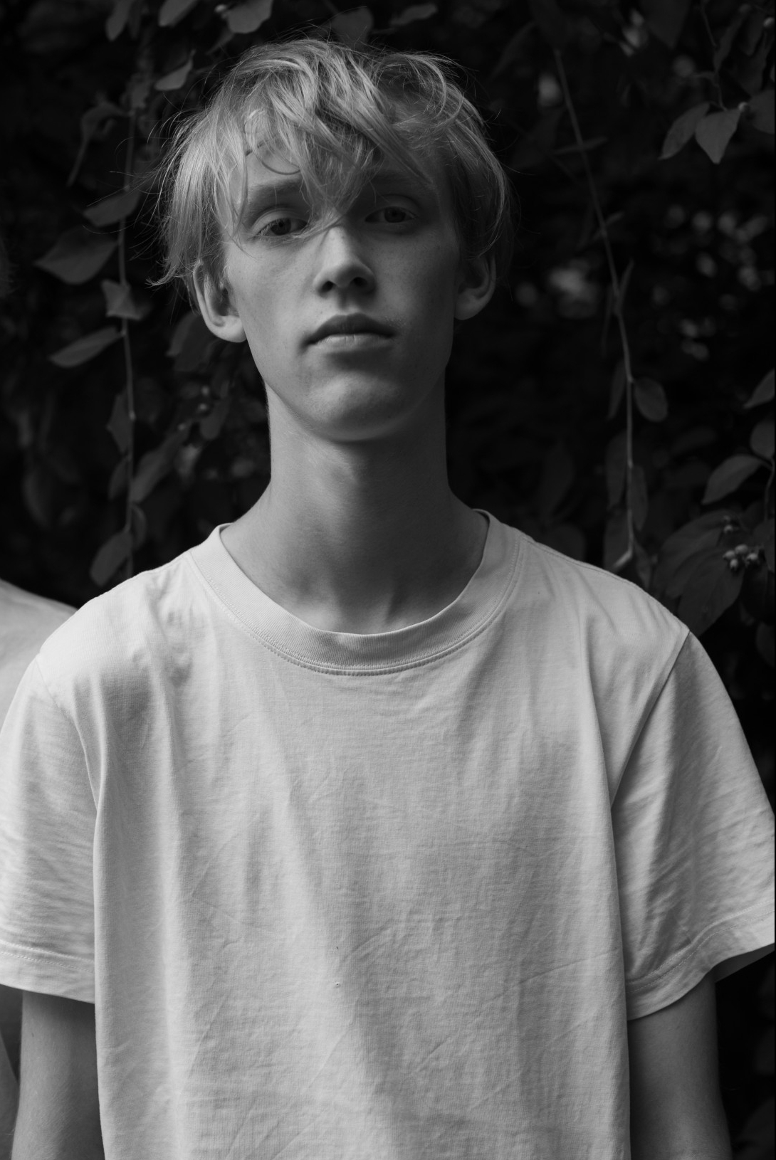 Weiteres Foto von Emil