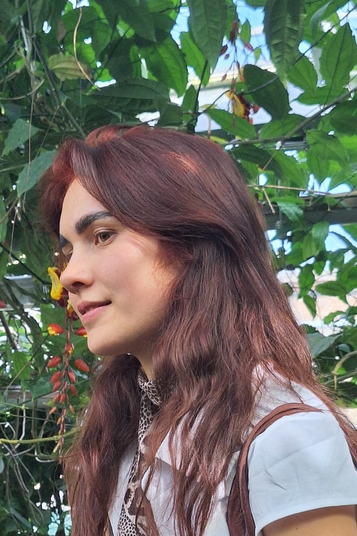 Weiteres Foto von Alesia