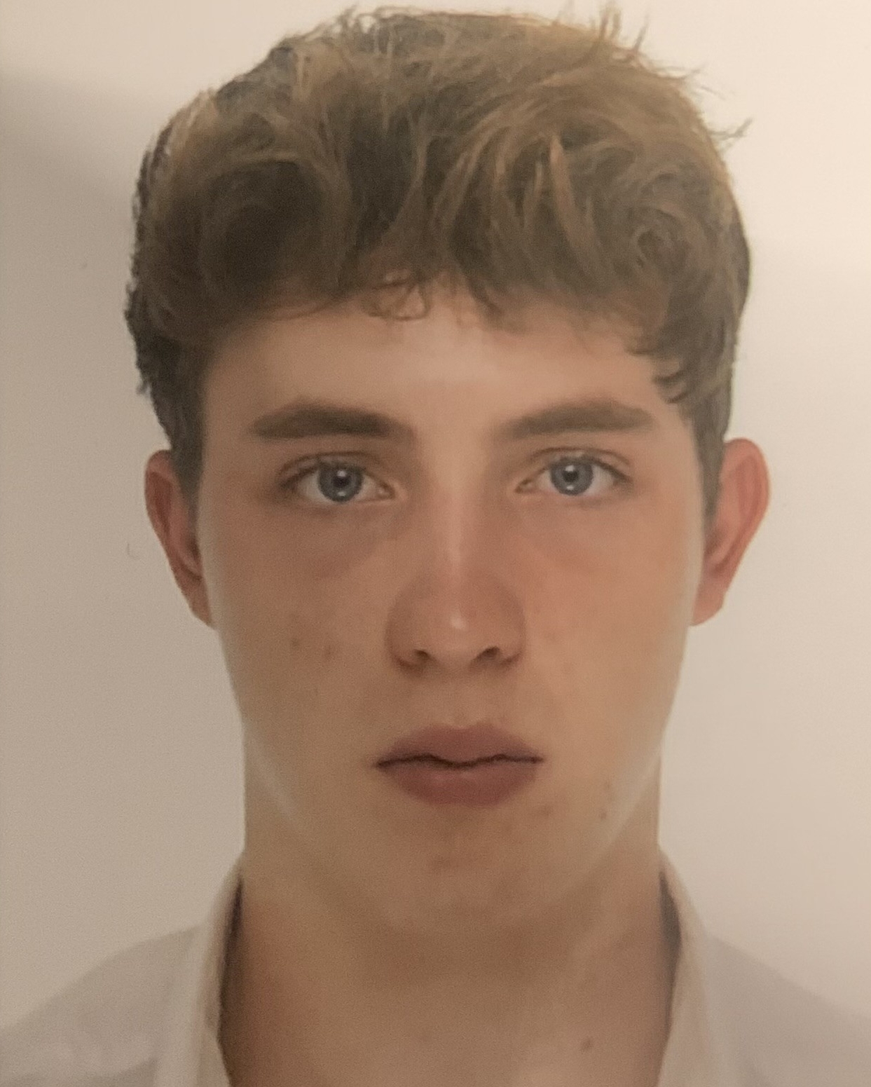 Profilbild von Elino