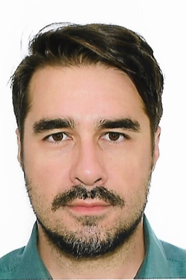 Weiteres Foto von Aleksandar Sasa