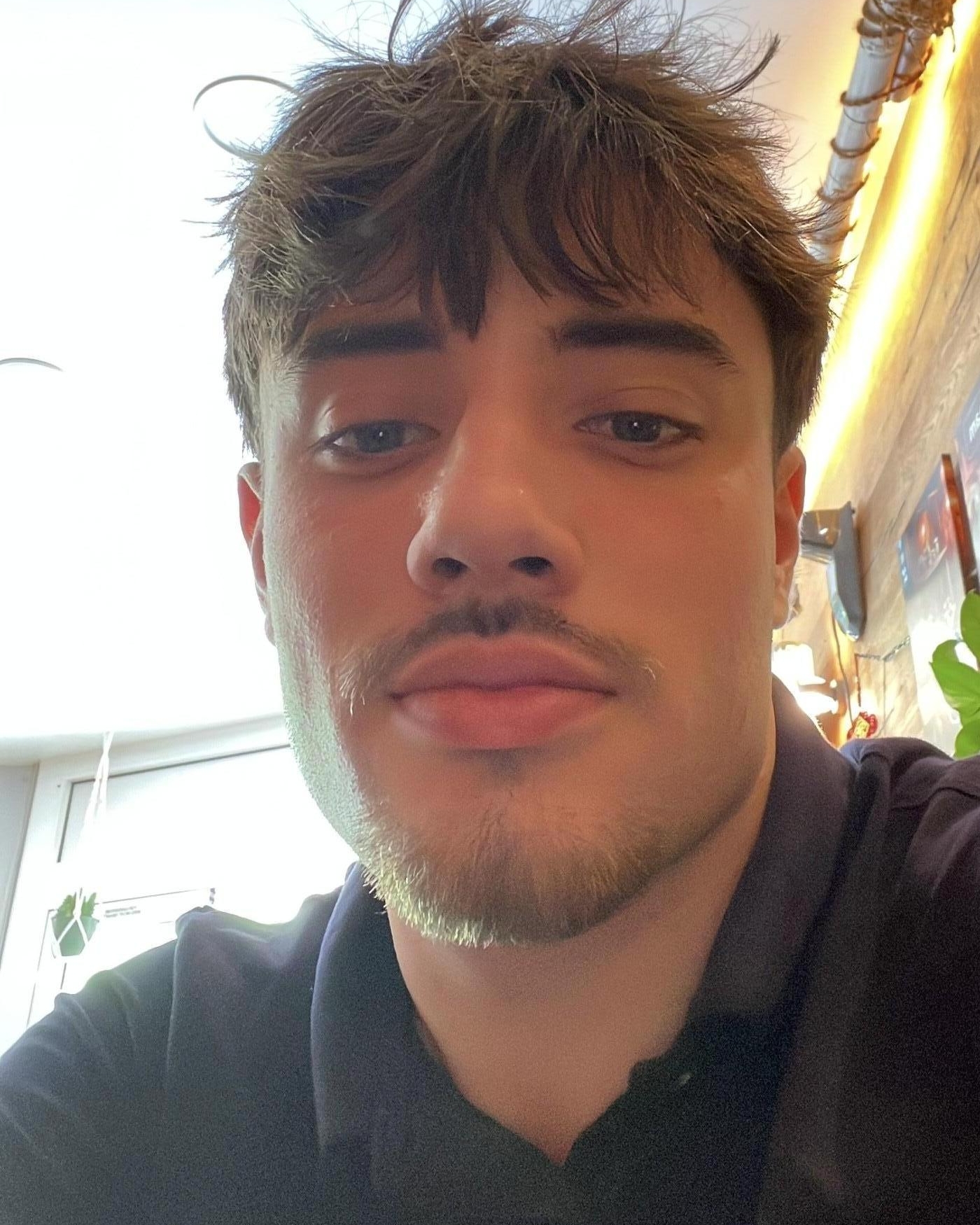 Profilbild von David