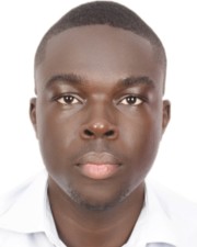 Denis-10056064 Jobber für InStaff in Nürnberg