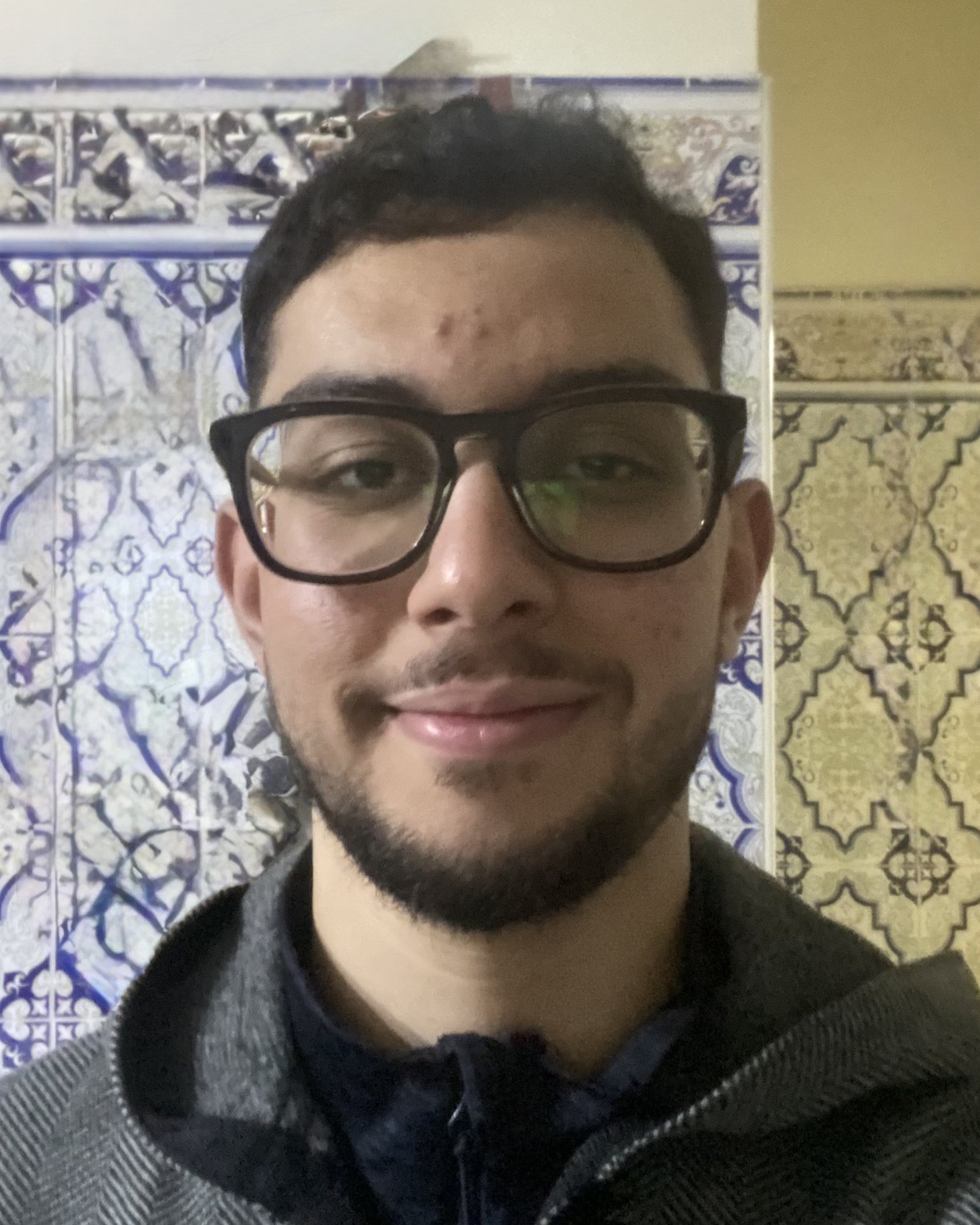 Profilbild von Louay Mohamed Hamed