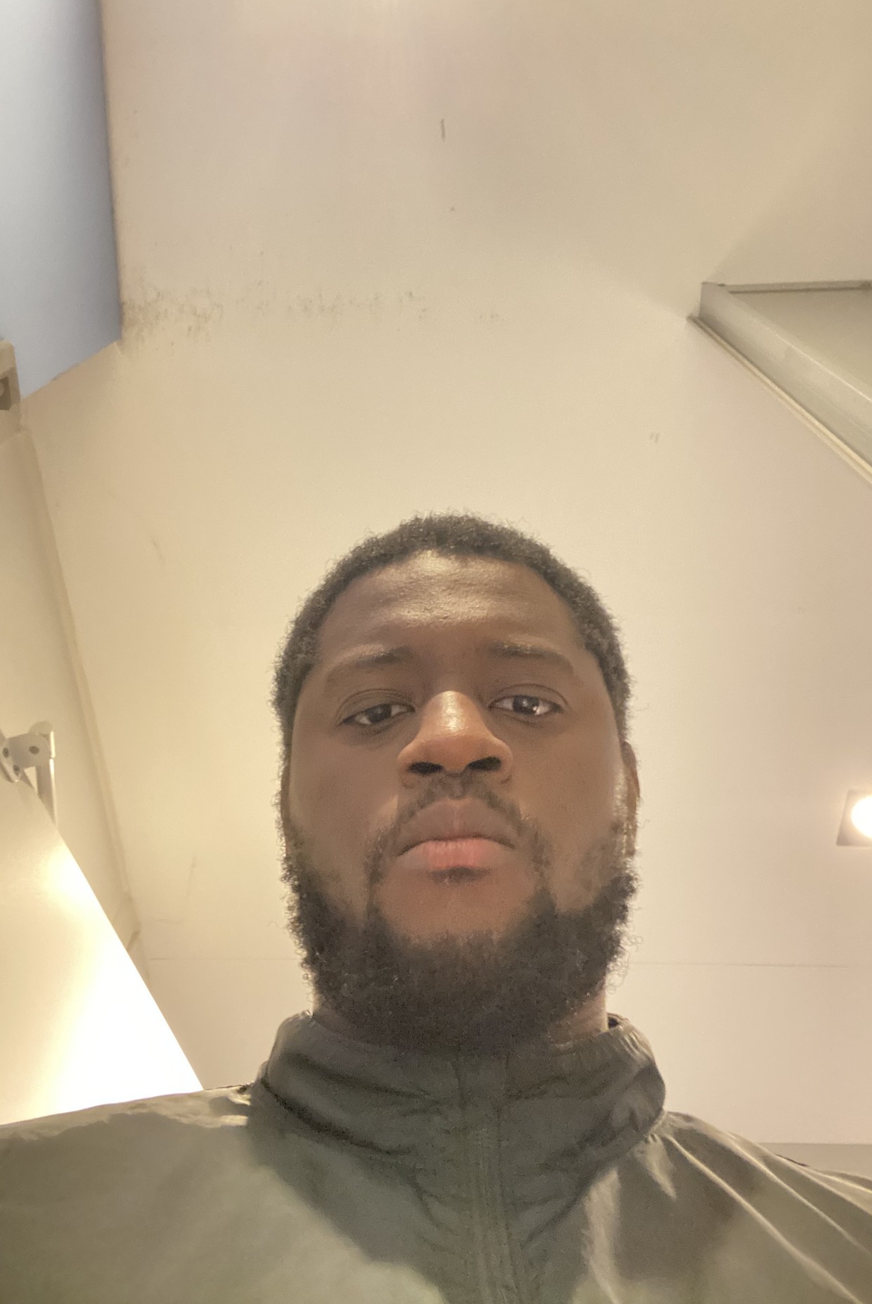 Weiteres Foto von Jaurel