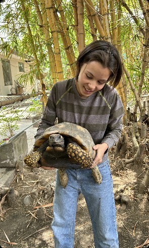 Weiteres Foto von Lioba Viola Linnea