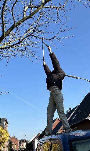 Weiteres Foto von Lioba Viola Linnea