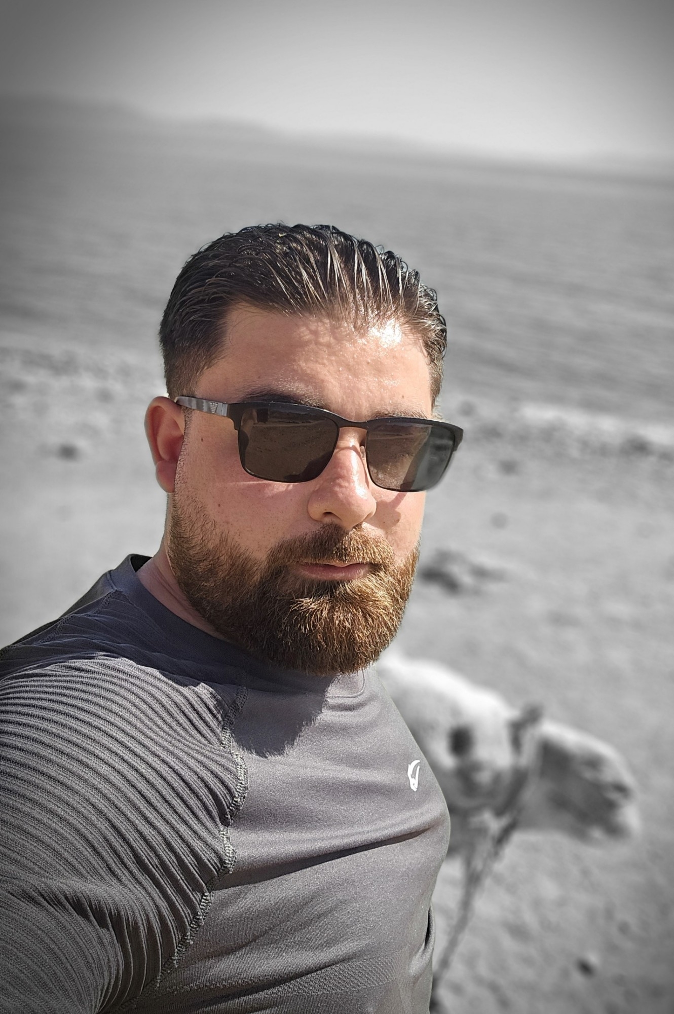 Weiteres Foto von Bassel