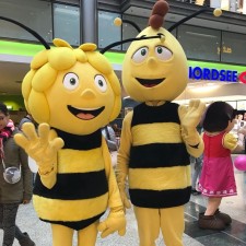 Erfahrungsbild vom Jobangebot