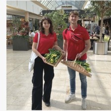 Erfahrungsbild vom Jobangebot