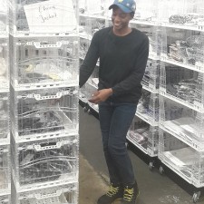 Erfahrungsbild vom Jobangebot