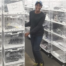 Erfahrungsbild vom Jobangebot