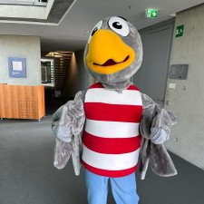 Erfahrungsbild vom Jobangebot