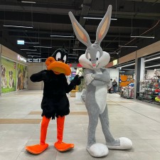 Erfahrungsbild vom Jobangebot