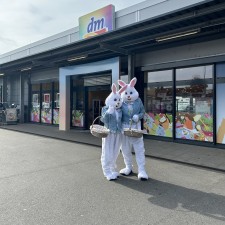 Erfahrungsbild vom Jobangebot
