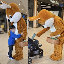 Erfahrungsbild vom Jobangebot