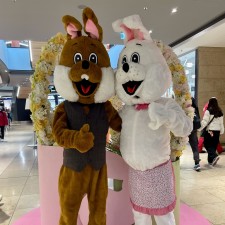 Erfahrungsbild vom Jobangebot