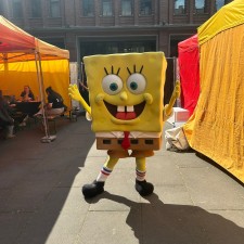 Erfahrungsbild vom Jobangebot