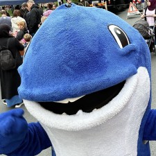 Erfahrungsbild vom Jobangebot