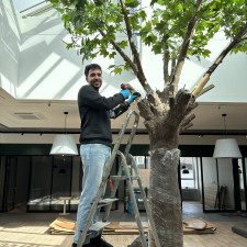 Erfahrungsbild vom Jobangebot