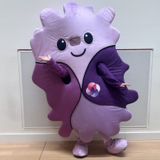 Erfahrungsbild vom Jobangebot