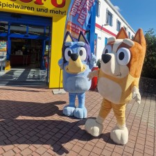 Erfahrungsbild vom Jobangebot