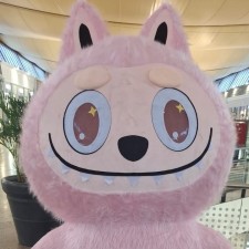 Erfahrungsbild vom Jobangebot