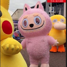 Erfahrungsbild vom Jobangebot