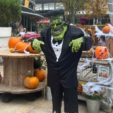 Erfahrungsbild vom Jobangebot