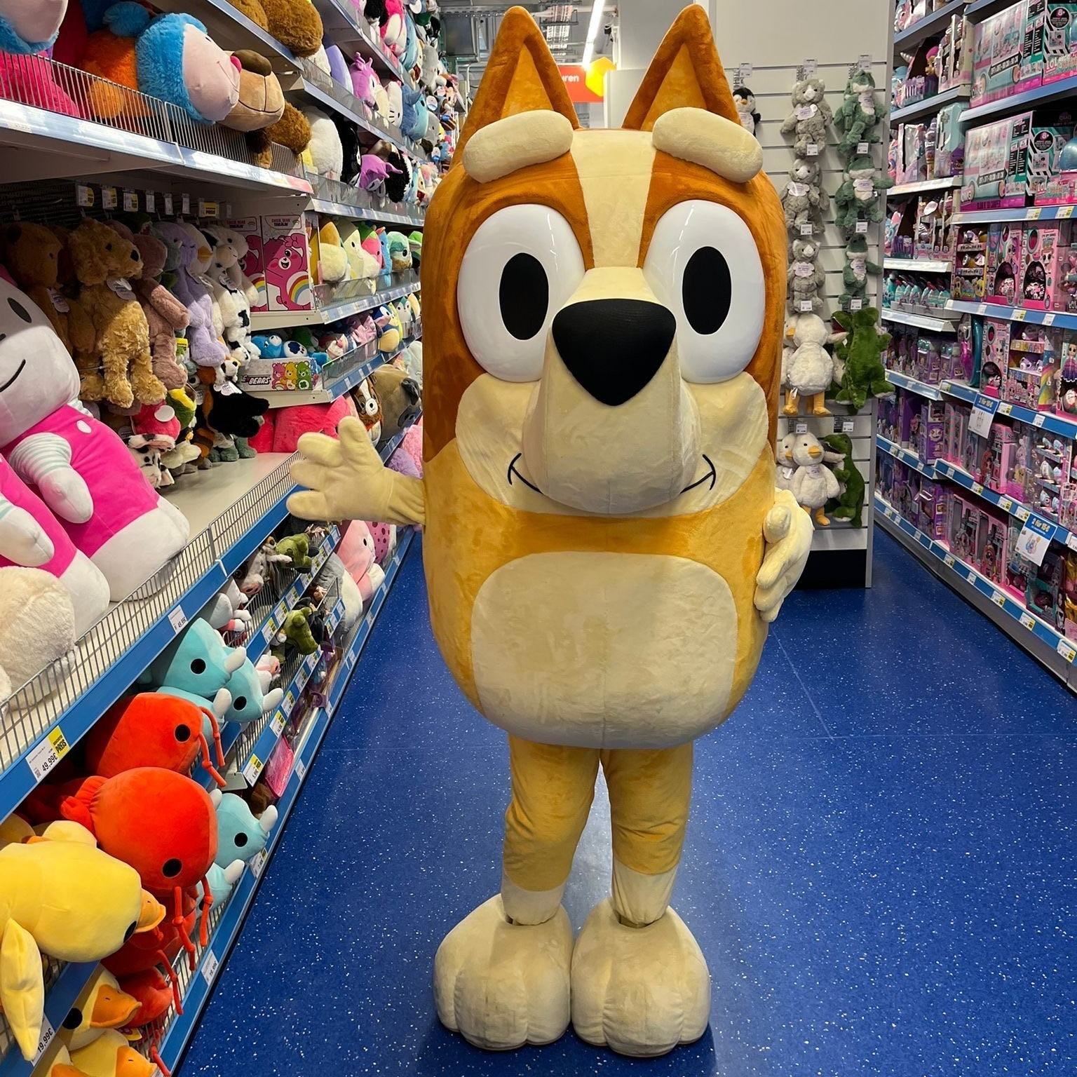 Mitarbeiter im Einsatz