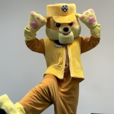 Erfahrungsbild vom Jobangebot