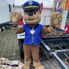 Erfahrungsbild vom Jobangebot