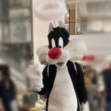 Erfahrungsbild vom Jobangebot