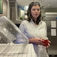 Erfahrungsbild vom Jobangebot