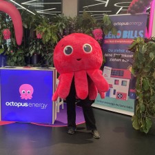 Erfahrungsbild vom Jobangebot