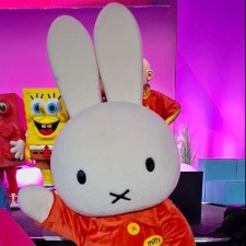 Erfahrungsbild vom Jobangebot