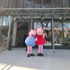 Erfahrungsbild vom Jobangebot