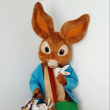 Erfahrungsbild vom Jobangebot