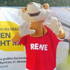 Luis bei der Arbeit