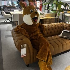 Erfahrungsbild vom Jobangebot