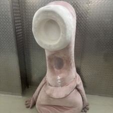 Erfahrungsbild vom Jobangebot