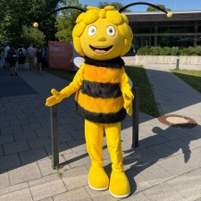 Erfahrungsbild vom Jobangebot
