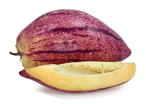 Pepino-Melone